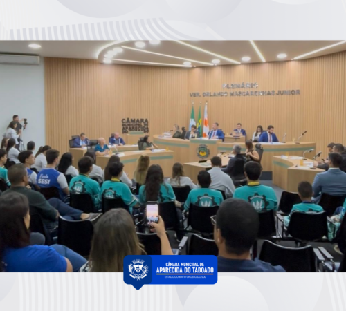 C&acirc;mara Municipal aprecia projetos or&ccedil;ament&aacute;rios em primeiro e segundo turnos