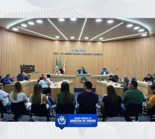 C&acirc;mara Municipal de Aparecida do Taboado apresenta balan&ccedil;o das atividades parlamentares de 2025